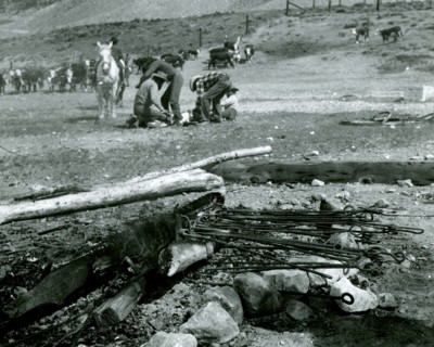 Cattle Brands (branding irons in fire) 1936