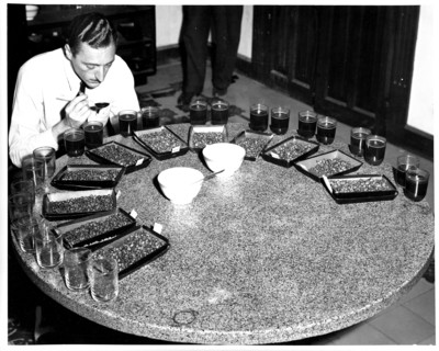 Coffee samples from various areas