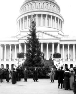 Community Christmas tree