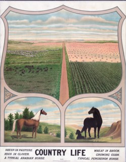 Country life ca. 1904