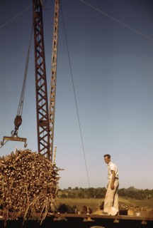 Crane at a 'central' sugar cane gathering place