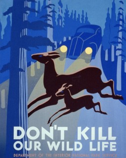 Don't kill our wild life
