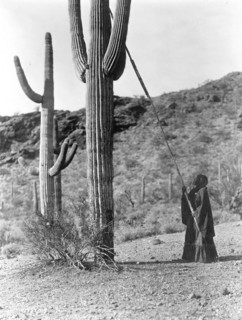 Edward S. Curtis Native American Indians