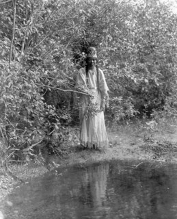 Edward S. Curtis Native American Indians