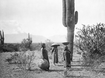 Edward S. Curtis Native American Indians