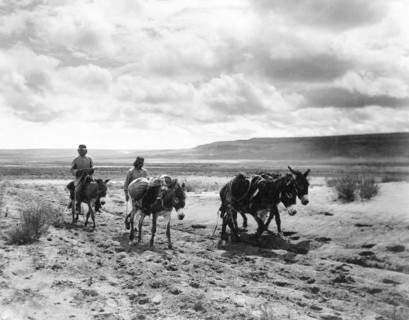 Edward S. Curtis Native American Indians