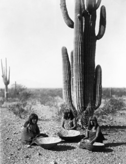 Edward S. Curtis Native American Indians