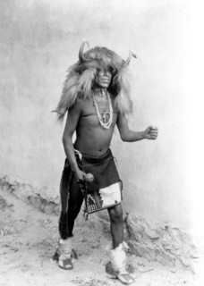 Edward S. Curtis Native American Indians