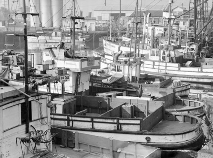 Fishing boats