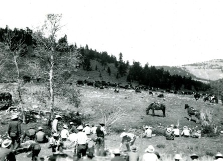 Group of People and Cattle ca 1947