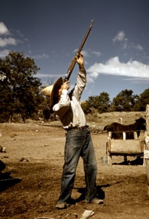 Homesteader shooting hawks
