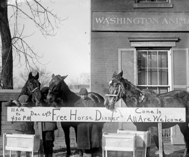 Horse Christmas party December 29