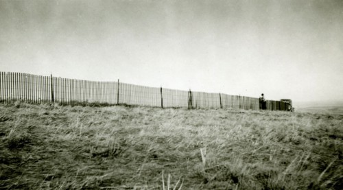 Man Working on Fence ca 1947