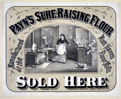 Payn's sure-raising flour
