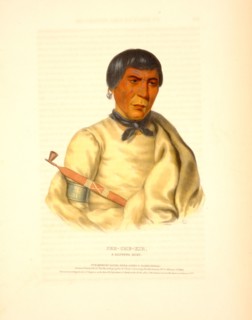 Pee-Che-Kir, a Chippewa chief