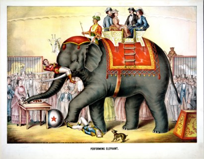 Performing elephant