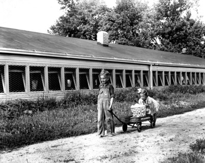 Photograph of Children Pulling Basket of Eggs in Wagon