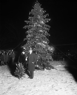 President Hoover lights Nation's Capital community Xmas tree