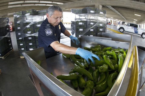 Agriculture Specialist inspects a shipment of peppers