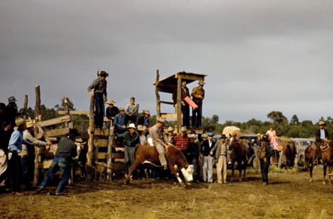 Rodeo at small town New Mexico Fair