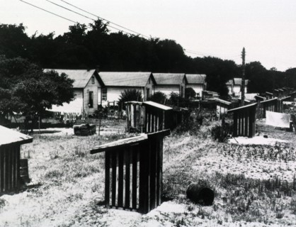 Sanitary privies