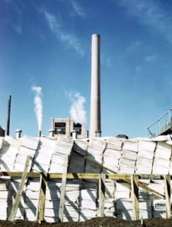 Southland Paper mill