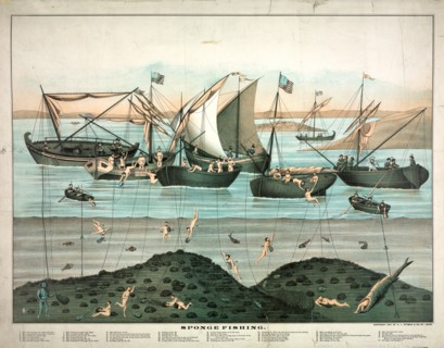 Sponge fishing ca 1897