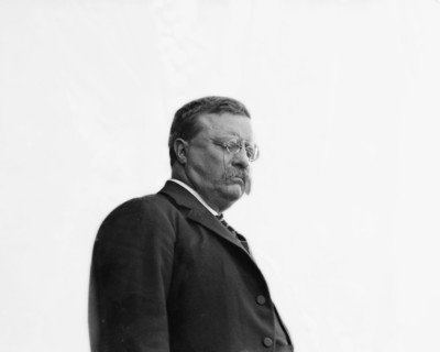 Theodore Roosevelt