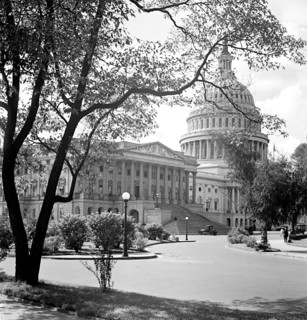 U.S. Capitol