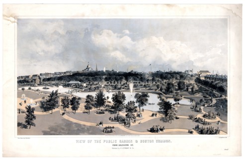 View of the Public Garden & Boston Common