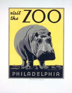 Visiting the zoo