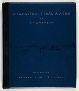 Wild Life on a Tidal Water: The Adventures of a House