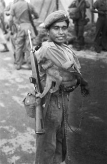 1949 - Soldier in Indonesia with monkey on his arm. The monkey's finger is close to the trigger. - Indonesia, Java, Dutch East Indies, Tandjong Priok