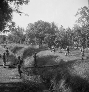 A soldier crosses a stream or ditches through a tree trunk covered by other soldiers, 1947, Indonesia