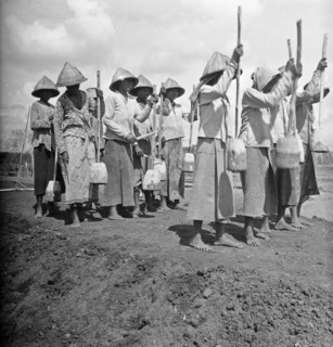 A dyke breach of the Kali Perong caused a lot of damage. The construction of a new dyke was started immediately; Date January 19, 1948; Location Indonesia, Dutch East Indies