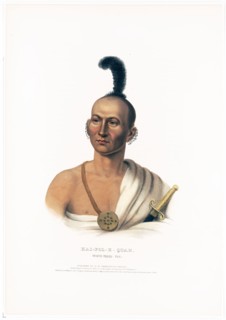 Antique Native American Print - Kai-Pol-E-Quah, White Nosed Fox ca. 1838