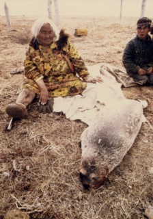 6/18/1973 - Eskimo woman with young harbor seal, to be used for food, and its skin for a container, or 'poke' for seal oil