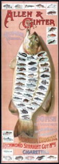 Allen & Ginter, Richmond, Virginia. 50 fish from American waters. You will catch one in each package of Virginia Bright, ... cigarettes ca. 1870-1900