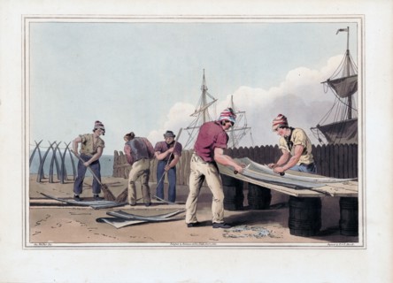Whalebone scrapers 1800s print