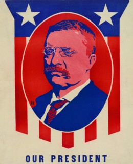 Theodore Roosevelt Print