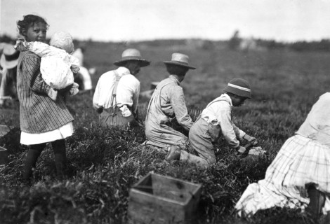 Arthur Fernande, said 8 years old, picking cranberries by hand, and brother Charlie said he was 9 picking with a scoop. Said they work from 9 till 5. Wareham, Mass, September 1911
