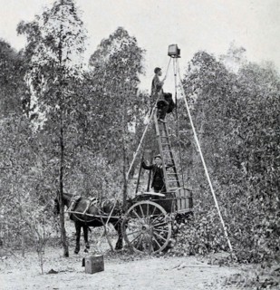 An Orthinologist taking photos of birds ca. 1901