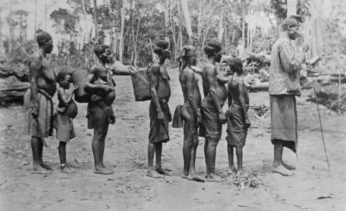 Chief from West Africa and some of his women (brides) escorting a new bride ca. 1910-1915