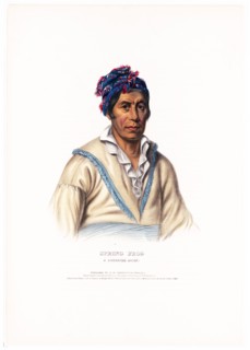 Spring Frog, a Cherokee chief ca. 1838