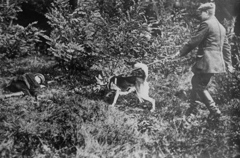 German man with a Red Cross dog searching for wounded soldiers during World War I ca. 1914-1915