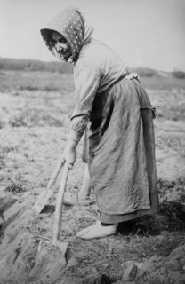 Woman working with a shovel in a field in Belgium ca. 1910-1915