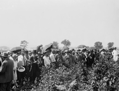 Gettysburg Reunion (the Great Reunion) of July 1913, which commemorated the 50th anniversary of the Battle of Gettysburg - Pickett's men at Bloody Angle