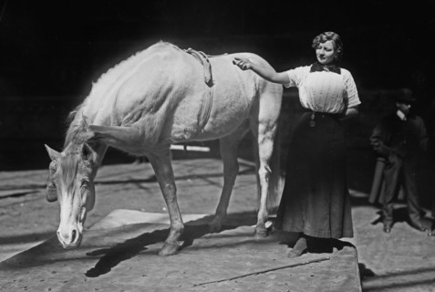 Barnum-Bailey Show - Model Artist Horse Posing ca. 1910-1915