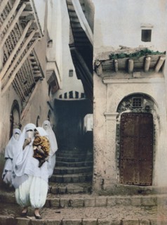 Street of the camels, Algiers, Algeria ca. 1899