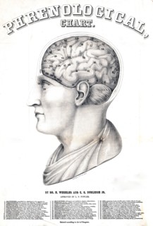 Phrenological chart ca. 1862